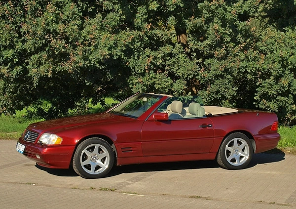 Mercedes-Benz SL cena 80000 przebieg: 115000, rok produkcji 1997 z Warszawa małe 781